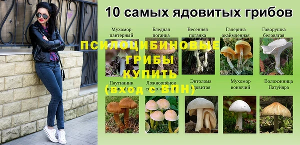 герыч Алзамай