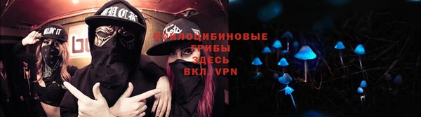 винт Алексин