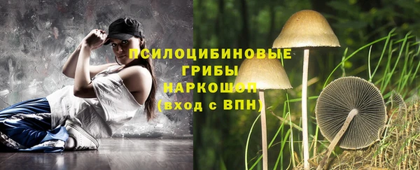 герыч Алзамай