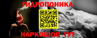 ECSTASY Гай