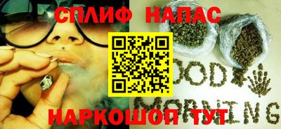 ECSTASY Гай